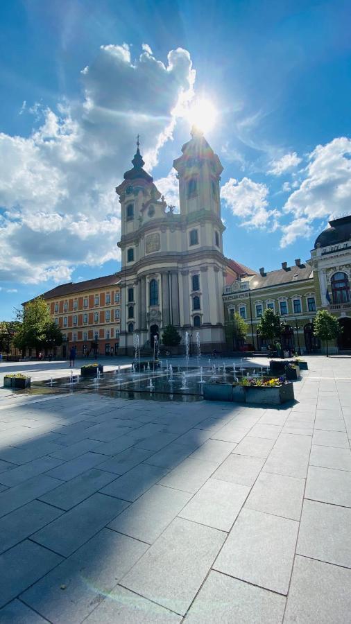 Central Home Apartment In The City Center Eger Exterior photo
